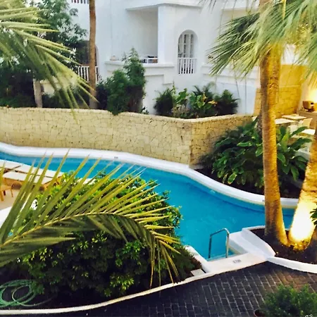 Apartment Amazing Beachfront, Pool And Terrace Costa Adeje (Tenerife)