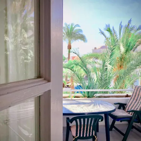 Amazing Beachfront, Pool And Terrace Apartment